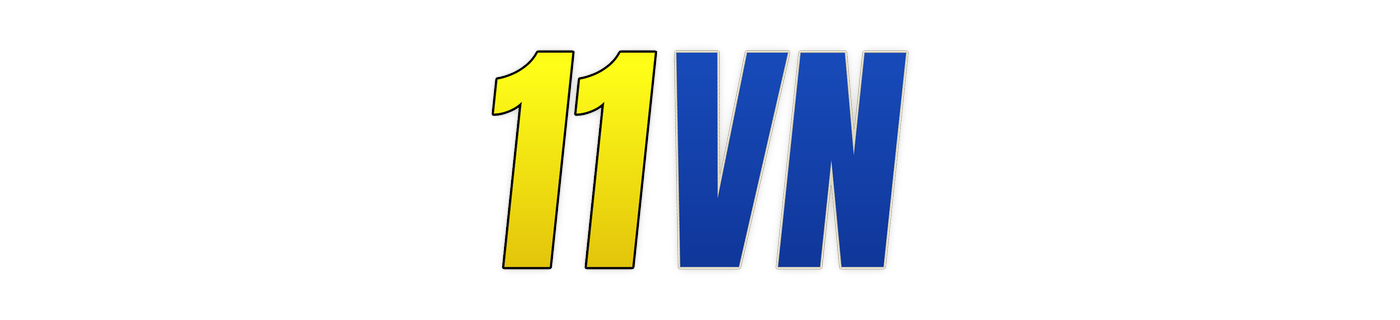 11vn